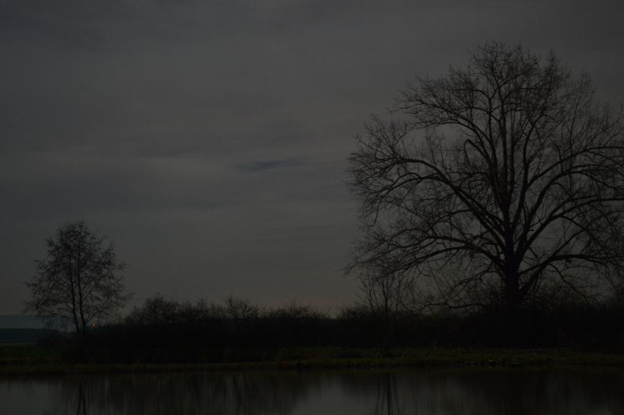 Winter 2013
