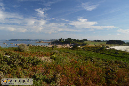 Île Callot