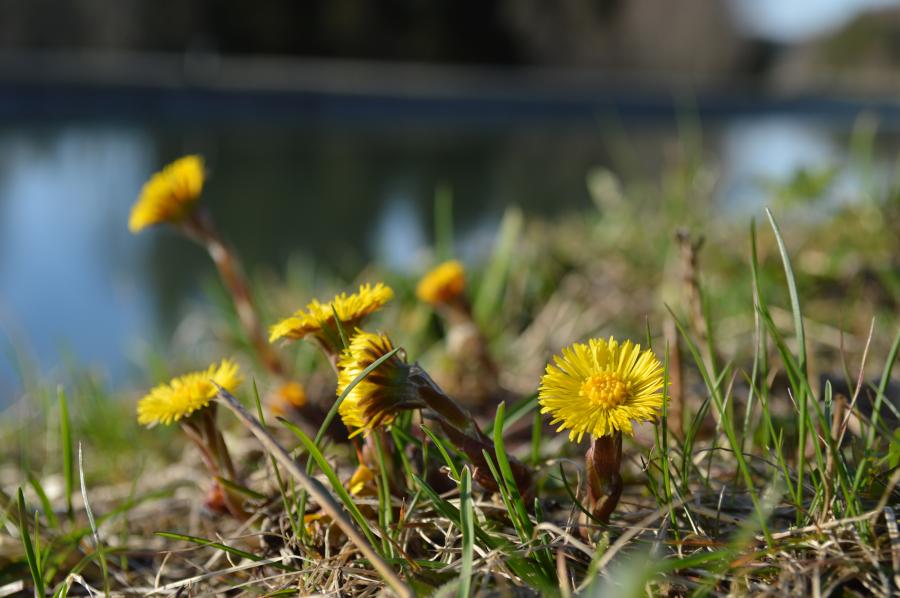 Sommer 2013