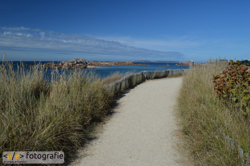 Der Weg zum Strand