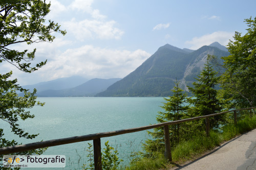Der Walchensee
