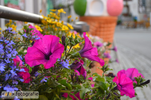 Zeil ist farbig