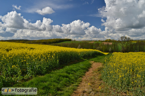Rapslandschaft