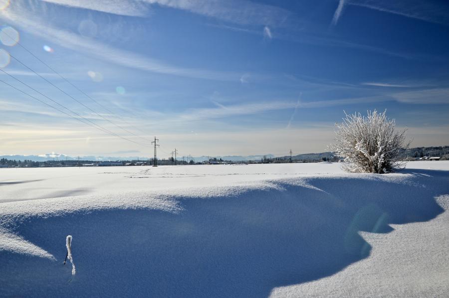 Winter 2015
